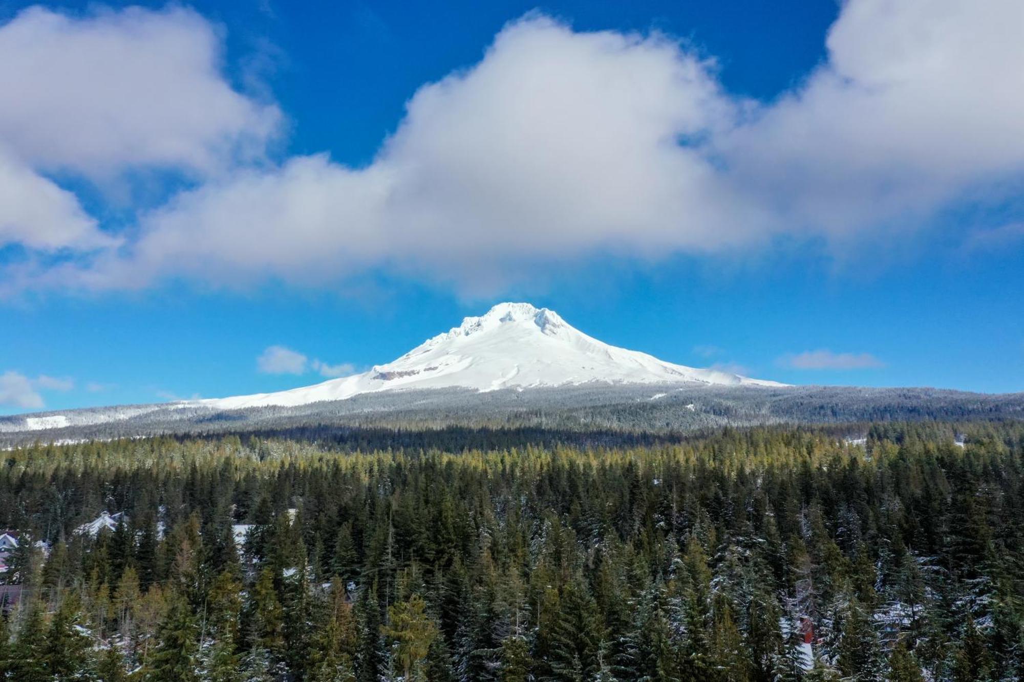 The Clyde - Your Cozy & Luxurious Mt Hood Retreat Government Camp Exterior foto